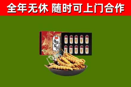 漳浦县回收冬虫夏草价格