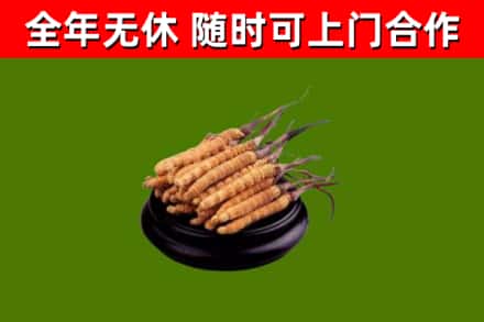 漳浦县烟酒回收冬虫夏草.jpg